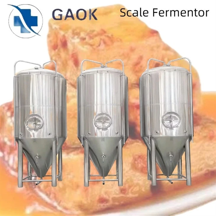 best stainless steel fermenter (3)